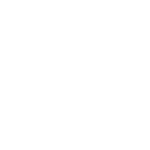 Ícone-VIDES-branco